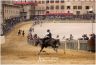 Prove di Addestramento Mattutine: la gallery di Benedetta Aucone